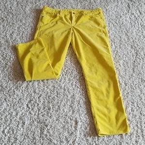 GAP Women's Straight Leg Jeans - Bright Yellow